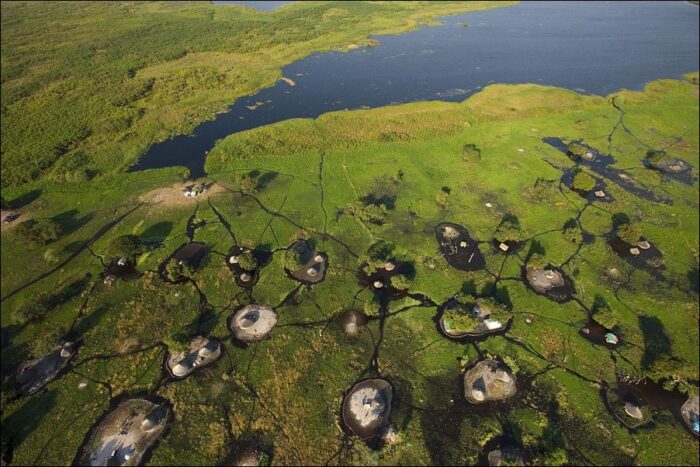 an aerial view of a swamp