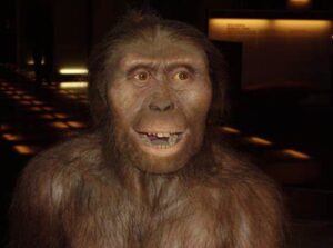 artist's rendition of an early hominin