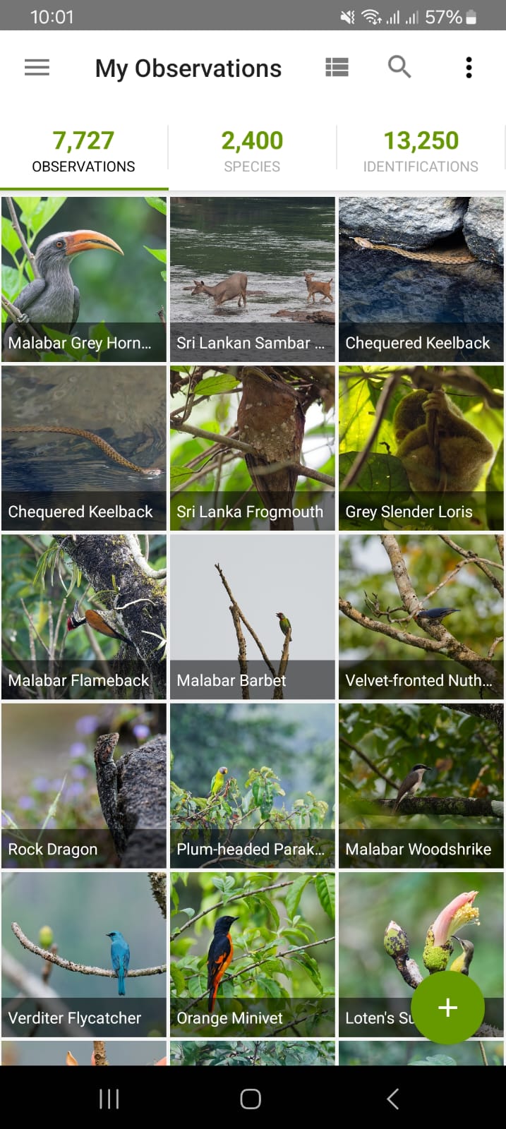 The Inaturalist app on android.