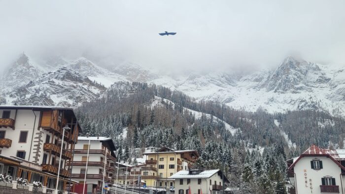 a bord flies in a white sky over a town surrounded by high walls