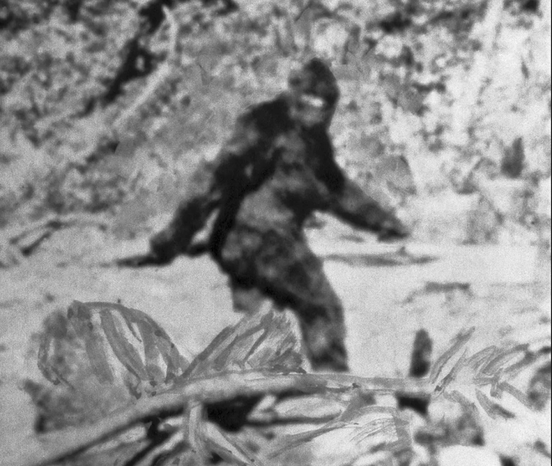 bigfoot photo