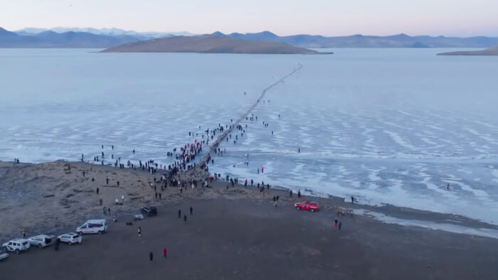 a flock of sheep make their way across a frozen lake