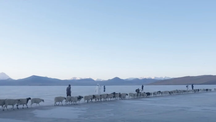 shepherds accompany a flock of sheep across a frozen lake