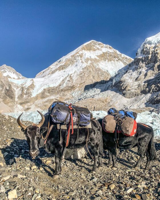 Taks loaded with duffel bags with Everest west shoulder behind