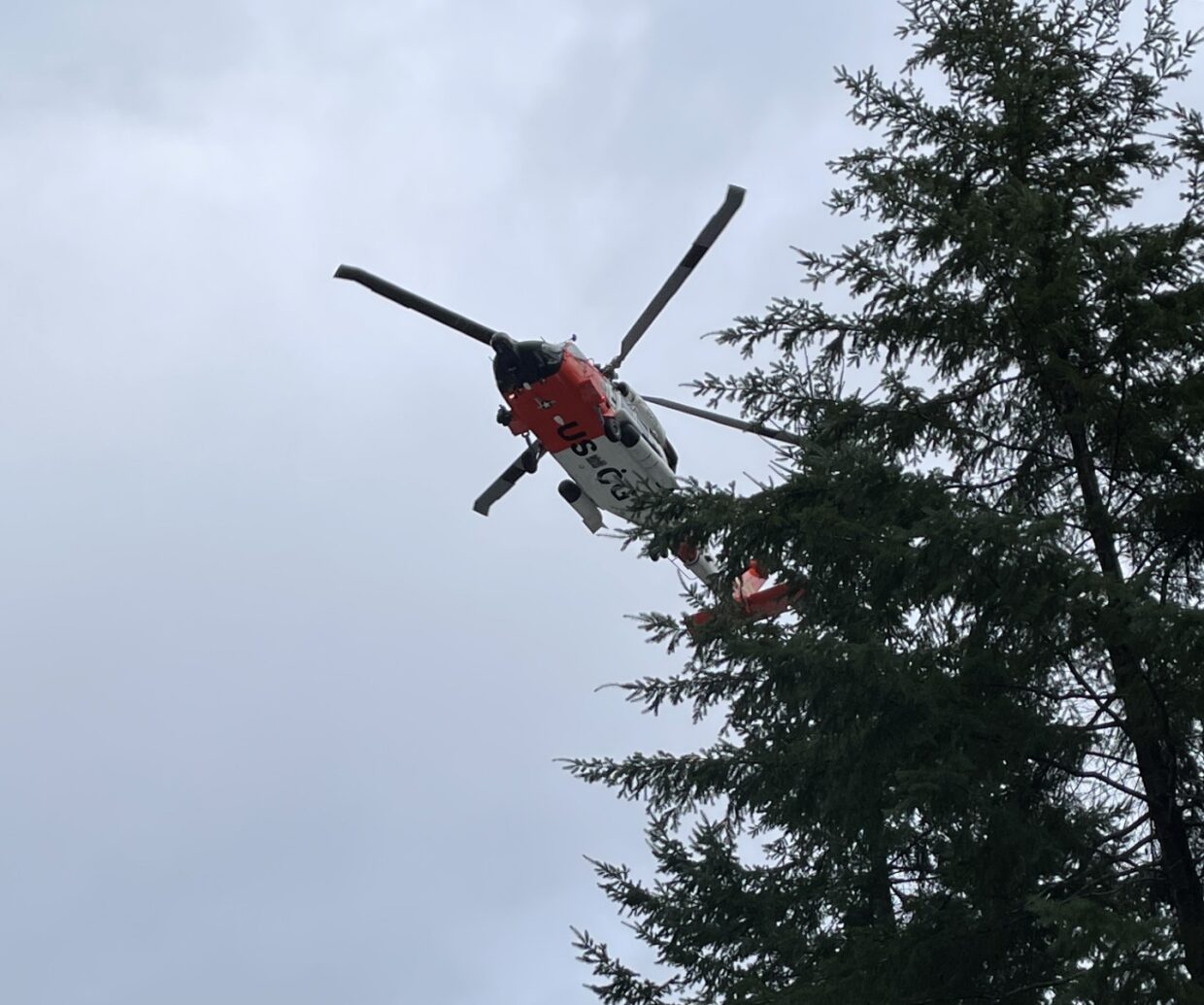 a helicopter flying past pine trees