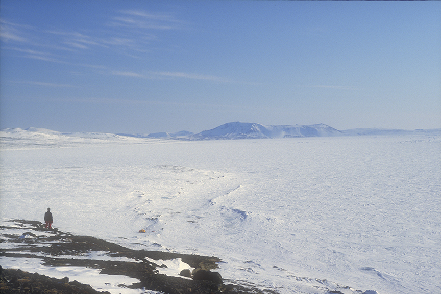 white arctic landscape