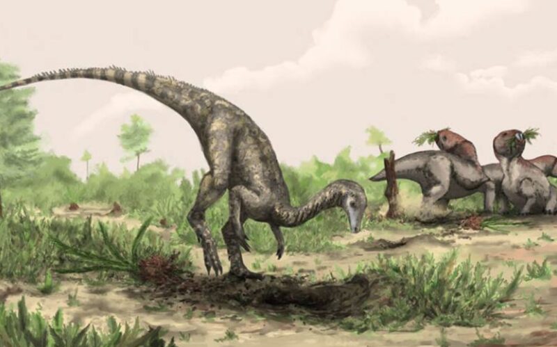 artist's impression of long-tailed dinosaur