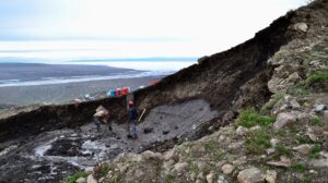 researchers digging in the Arctic