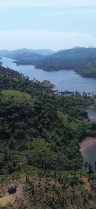 an arial shot of a wide river with forest on either side