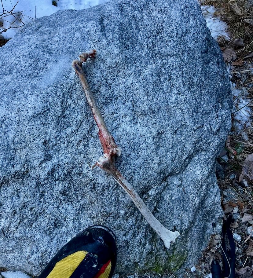 Von Kanel and Schaeli found this old spit on the route.