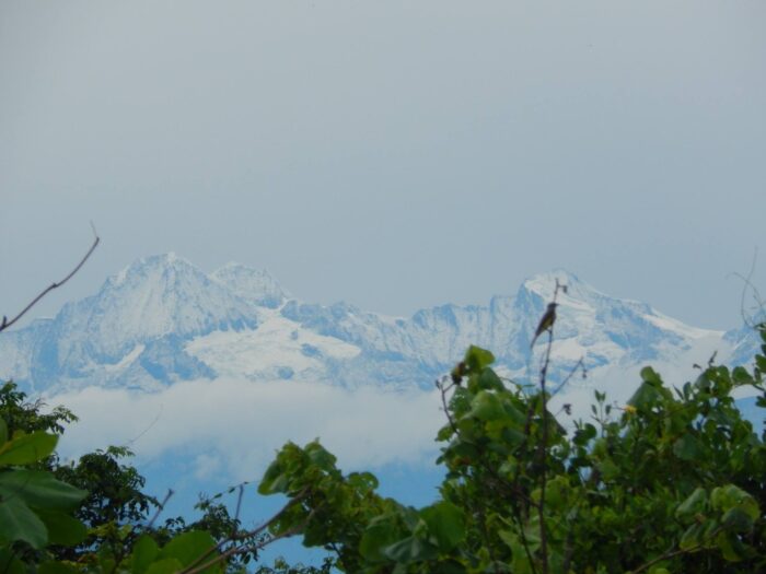 Snow-capped peaks in a misty day