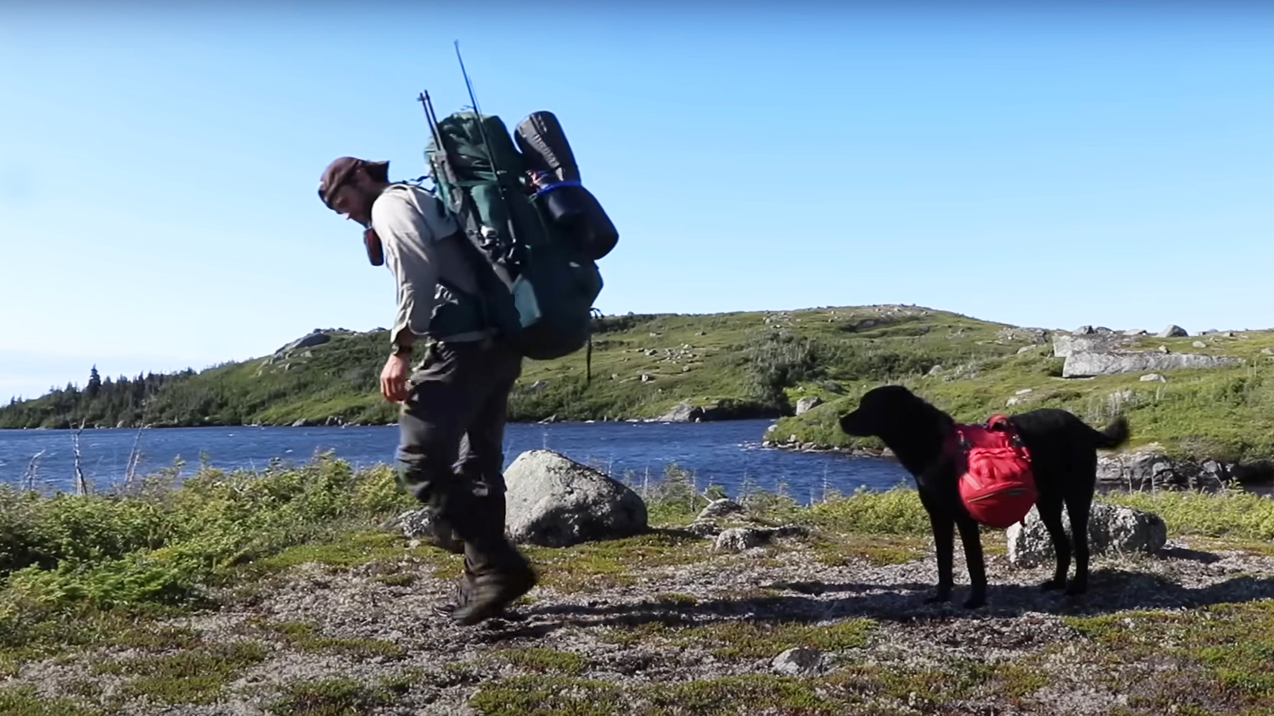 a man wearing a backpack walks near a lake with a dog