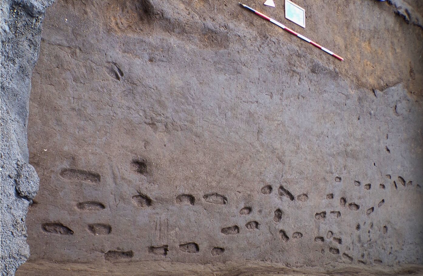 ancient footprints preserved in rock