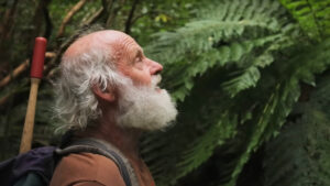 a man stands in a forest