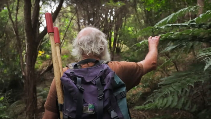 a man touches a plant