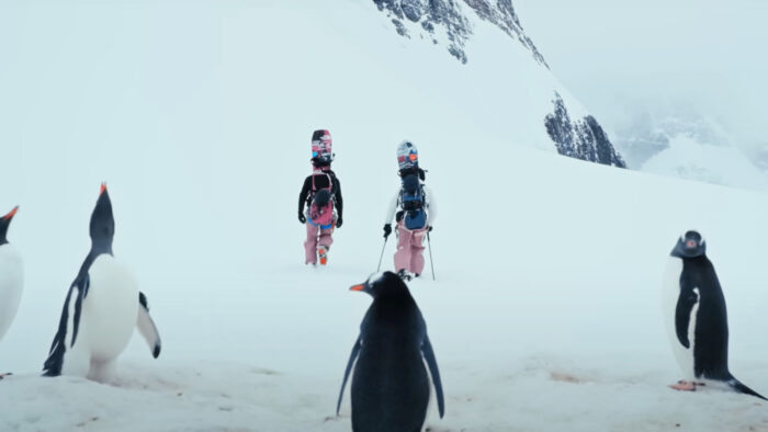 two men with snowboards while penguins look on