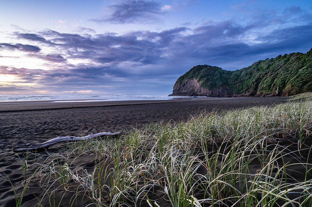 The South Auckland Islands