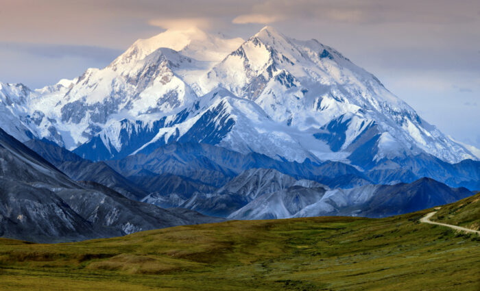 Snowy Nt. McKinley Denali rising over a green plane meadow