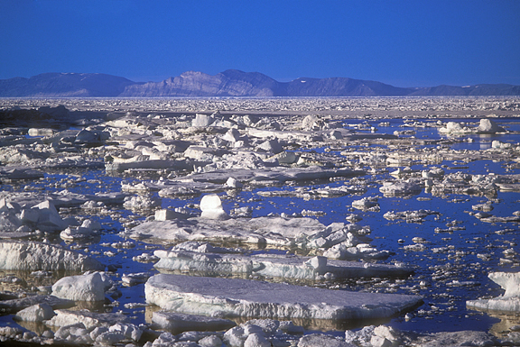 groken sea ice and distant view of Greenland 