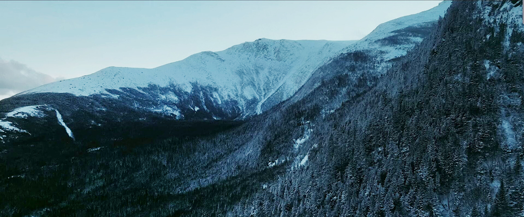 Snowy and tree covered mountain slopes.