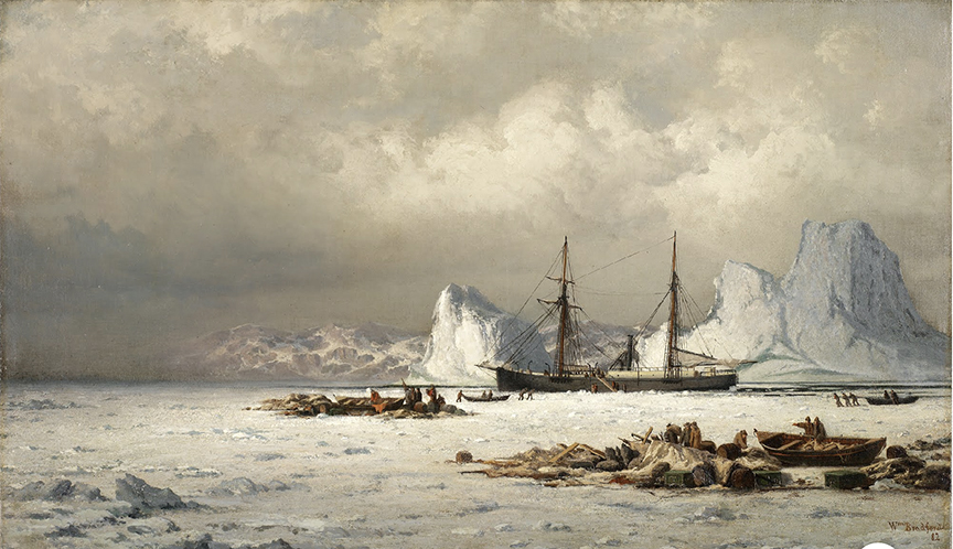 arctic scene with ship