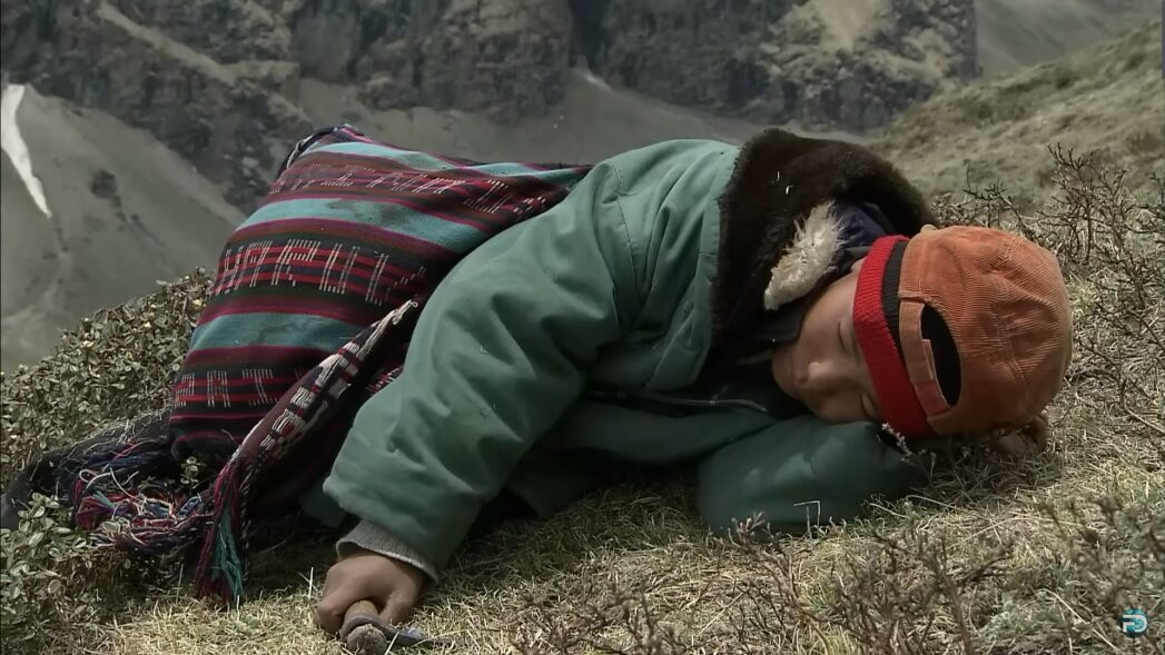 A young boy sleeping on the mountainside