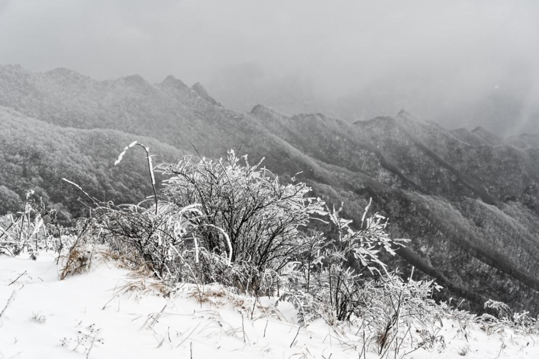 A snow covered ridgeline