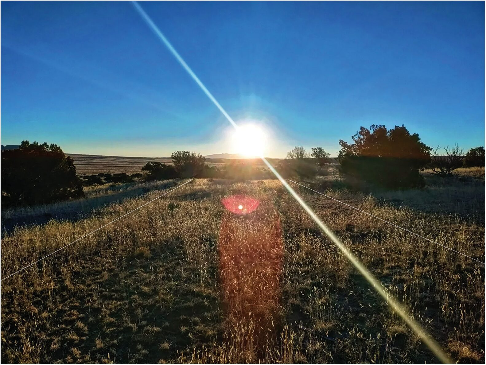 Sunrise over a field.