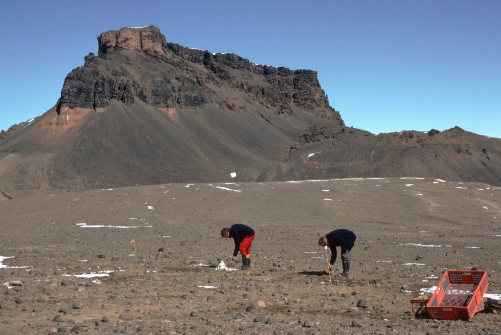 two researchers stoop over to do something in barren tundra