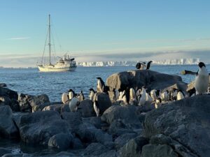 A penguin rookery looks on as a small ship sails by.