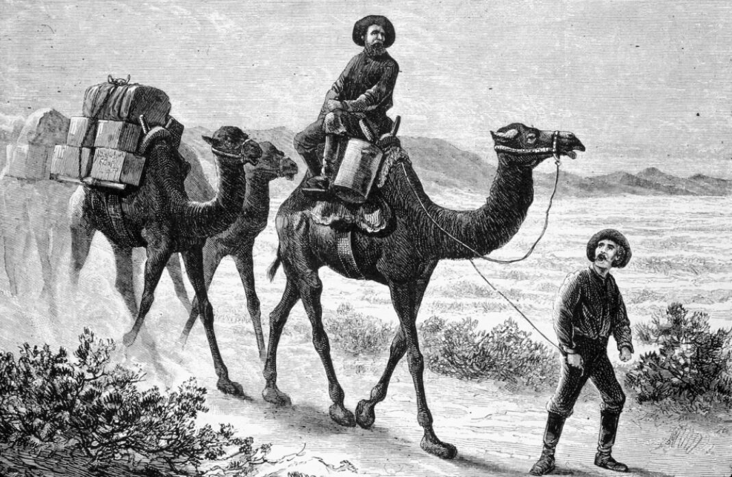 Illustration of prospectors leading camels in the desert.