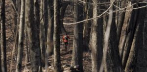 A woman running in the woods.