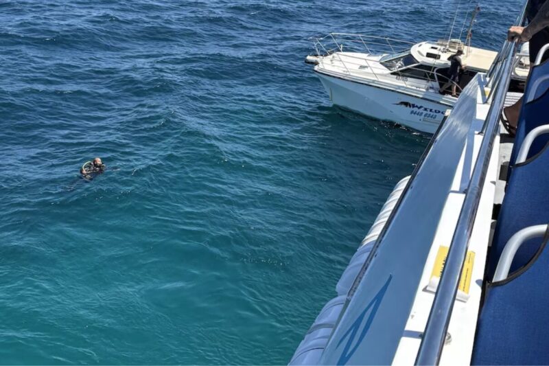 Ryan Chaudhry before his rescue.