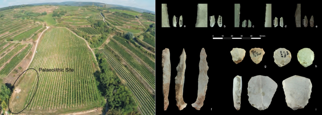 An aerial view of a green landscape, left, and a selection of stone tools, right