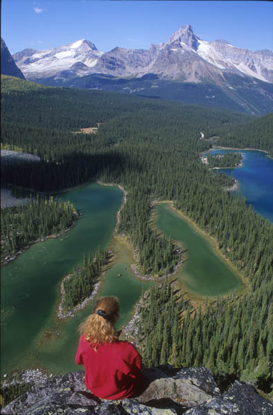 Day hiking near Lake O'Hara.