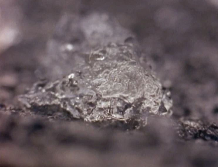 An Oakville Blob