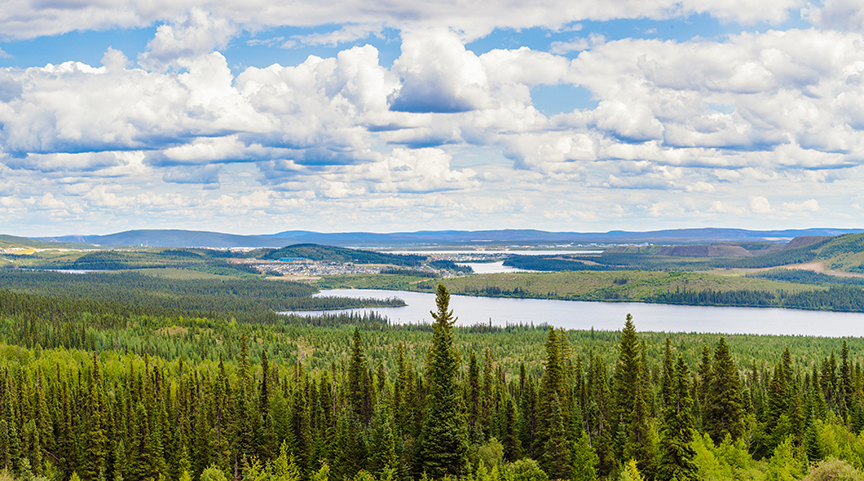 boreal forest overview