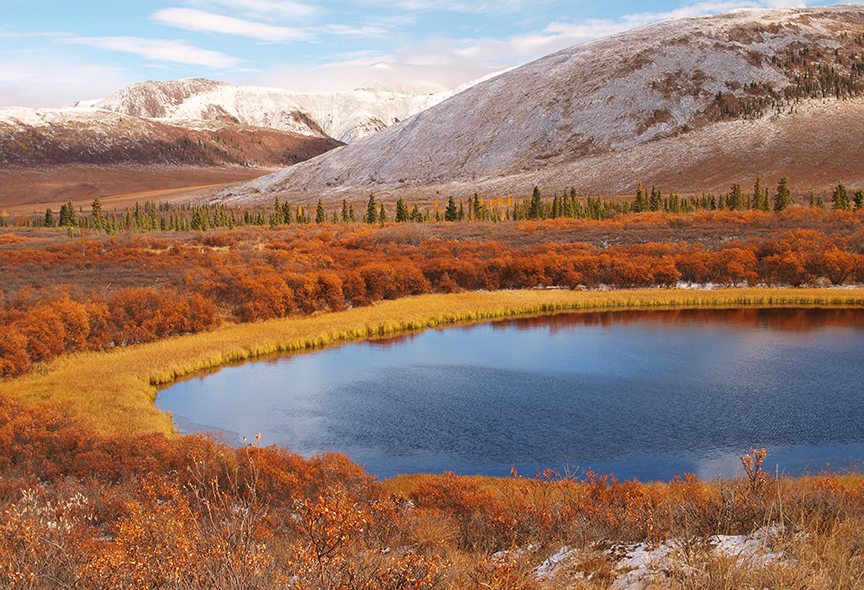 Dempster Highway fall colors