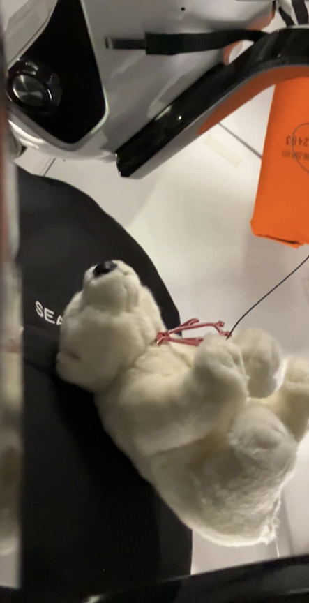 stuffed polar bear floating in Zero G