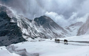Climbers among crevasses on the huge, flattish Western Cwm.