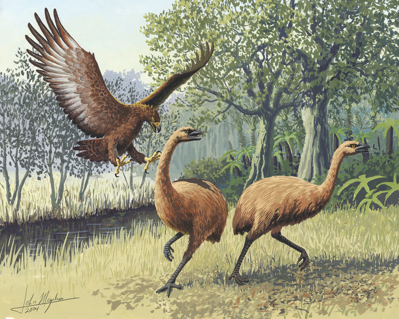 Painting of a giant brown eagle attacking a pair of moa