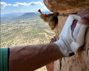 climber's arm in crack