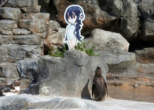 A penguin staring up at a cardboard anime cutout.