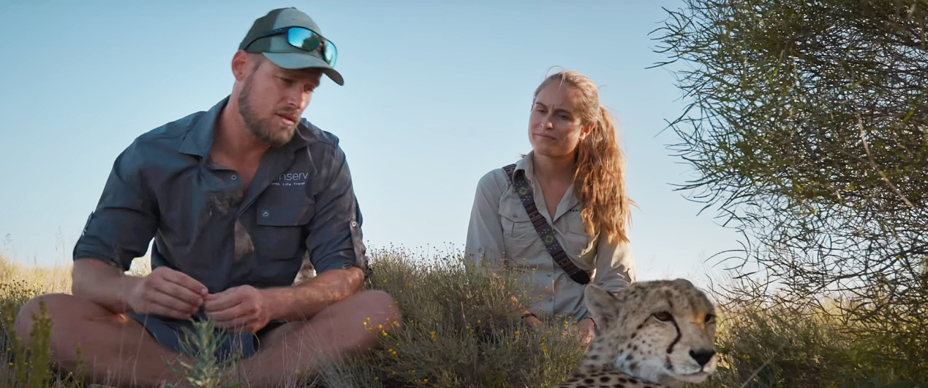 couple sitting with cheetah in grassland