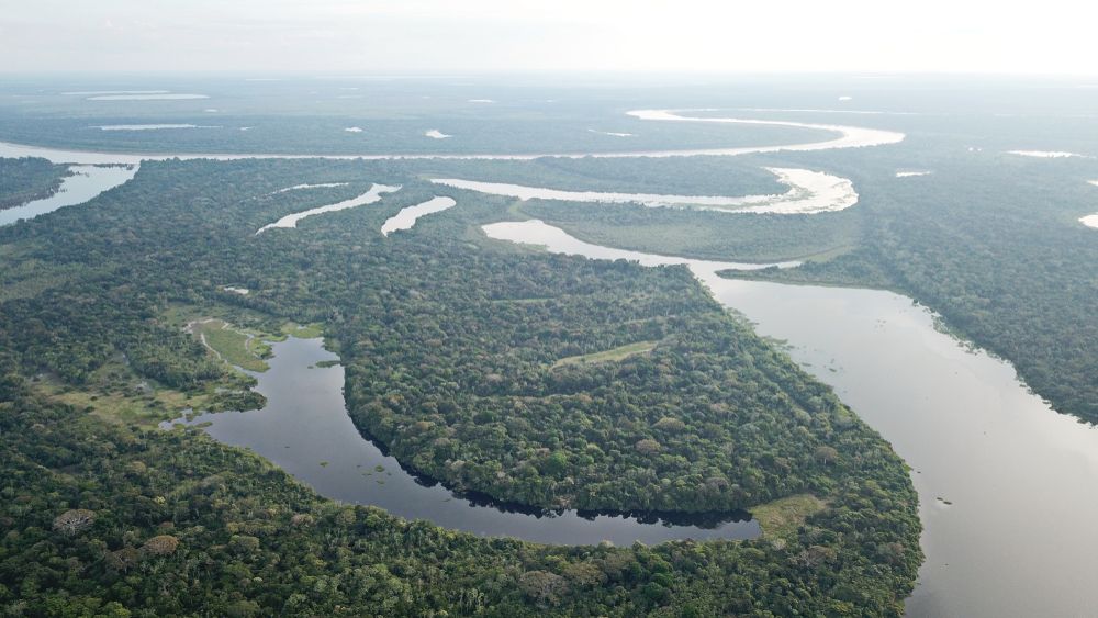 Aerial shot of the Amazon