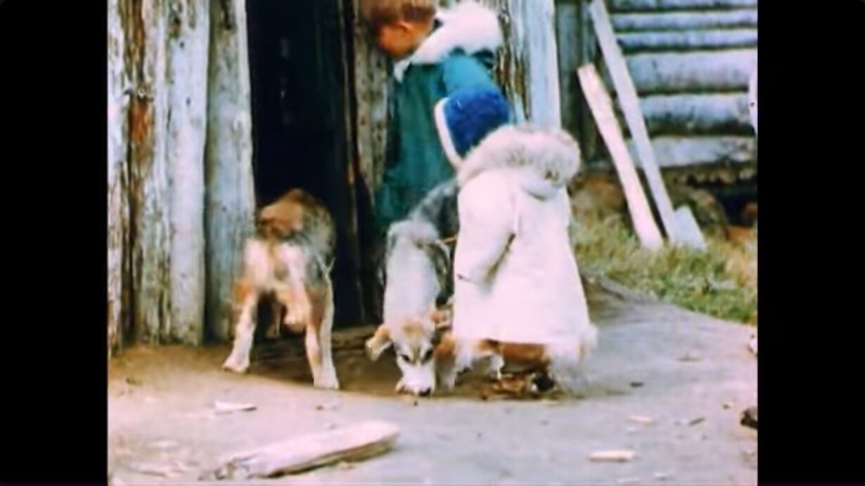 Two children with dogs