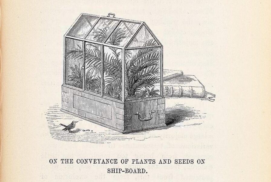 A portable terrarium