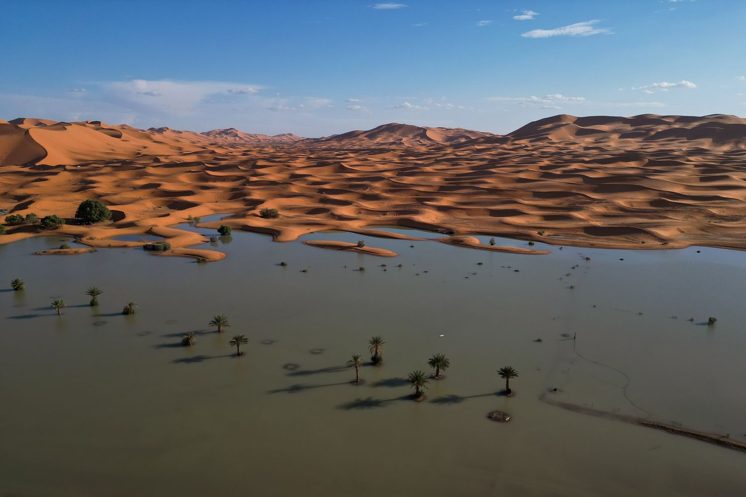 A flooded lake in the desert.