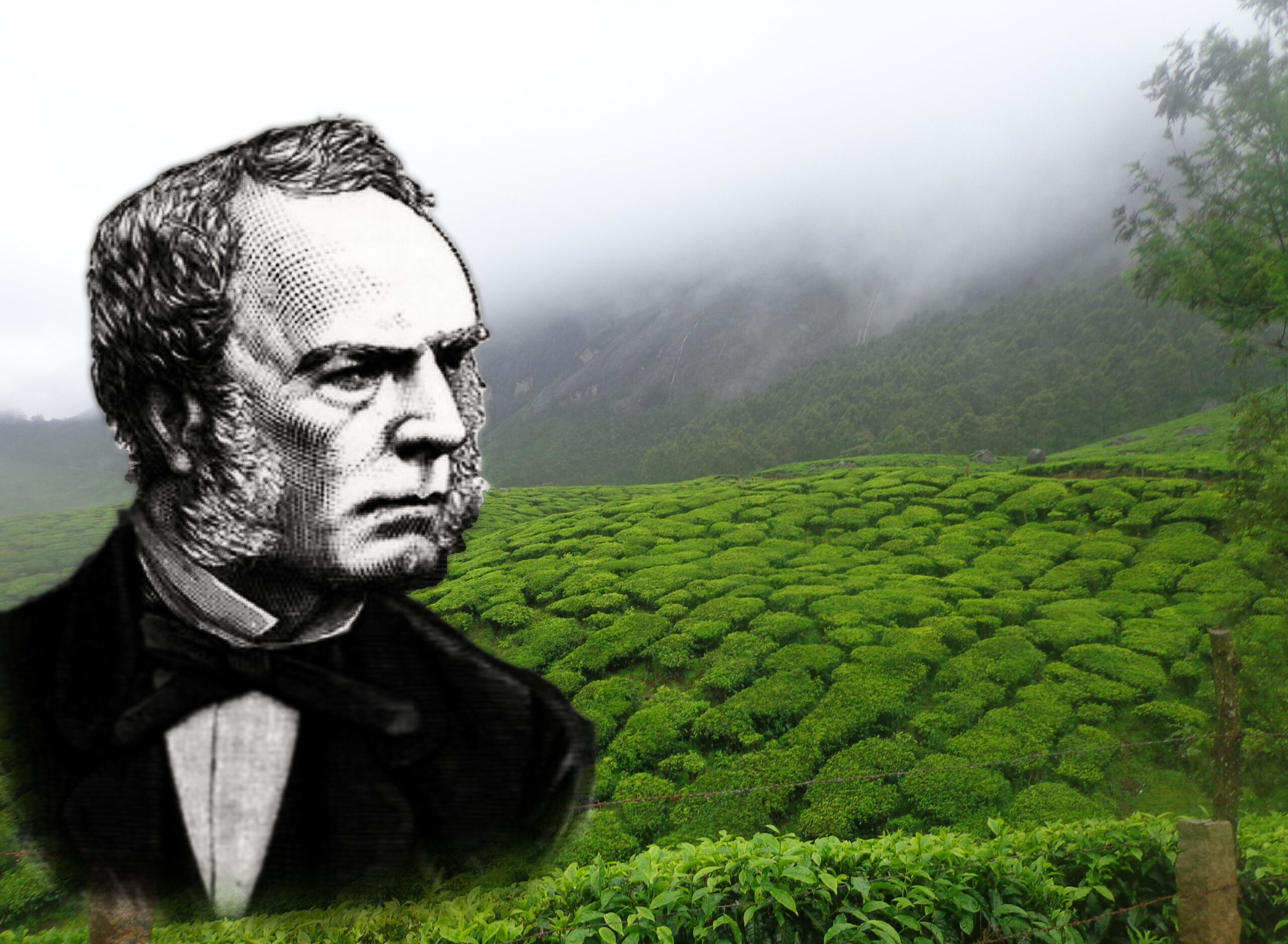 A portrait of a man superimposed on a picture of a Chinese tea plantation