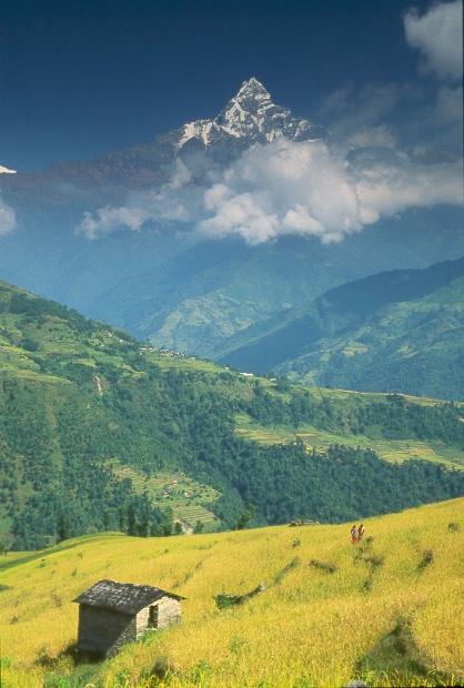 mountain rising from the lowlands